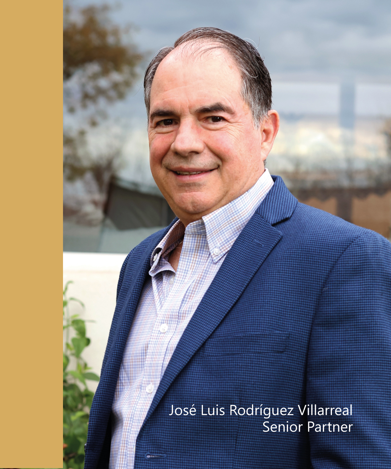 José Luis Rodríguez Villarreal — Senior Partner